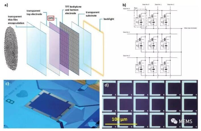 荷蘭科學家研發新型柔性高分辨率指紋識別傳感技術 荷蘭科學家研發新型柔性高分辨率指紋識別傳感技術